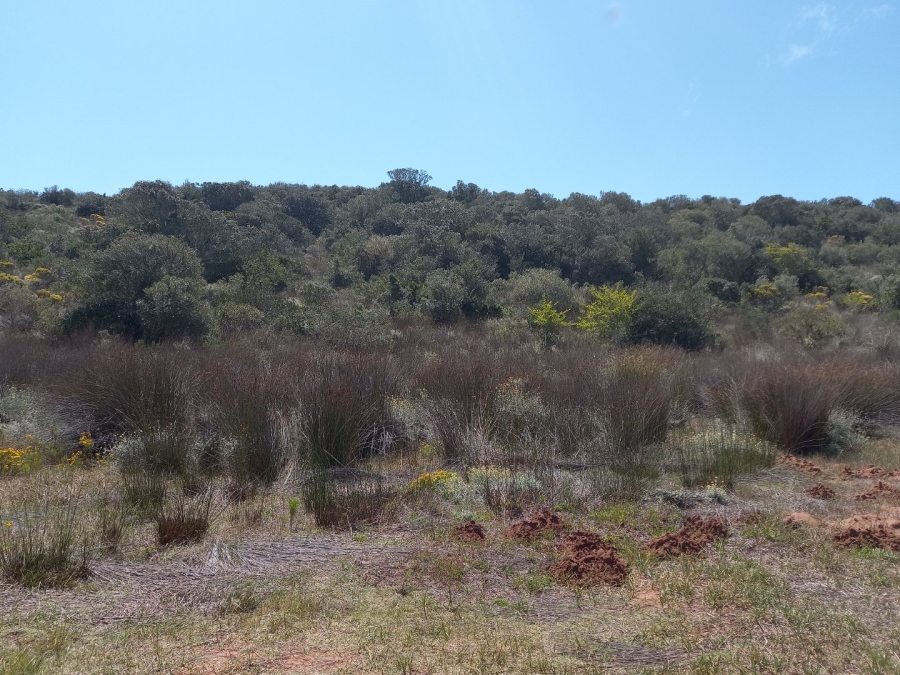3 Bedroom Property for Sale in Stilbaai Rural Western Cape